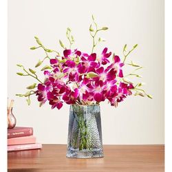 1-800-Flowers Flower Delivery Exotic Breeze Orchids 10 Stems W/ Blue Vase | Happiness Delivered To Their Door