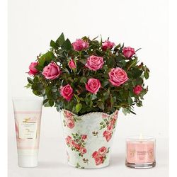 1-800-Flowers Flower Delivery Classic Budding Rose Small W/ Candle & Lotion