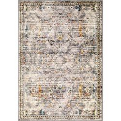 Ankara Field Distressed Grey (9' x 13') - Orian Rugs GMT/ANFD/50GE/275X398