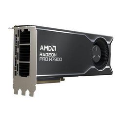 AMD Radeon Pro W7900 Professional Graphics Card 100-300000074