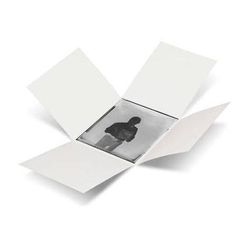 Print File GPN45 4 x 5" Glass Plate Enclosures (White, 25-Pack) 291-5001