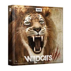 boom LIBRARY WILDCATS (Download) 11-30597