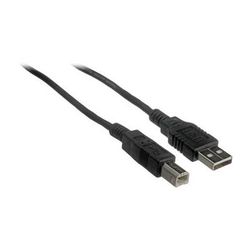 Pearstone USB 2.0 Type-A Male to Type-B Male Cable (25 ft) USB-AB25