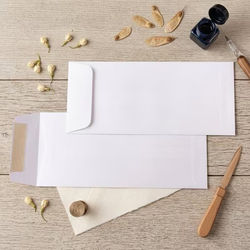 10 Policy Premium Envelopes, White 4 1/8" x 9 1/2" 50 pack