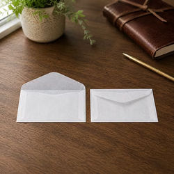 Glassine Envelopes Open Side 2 Side Seams 5 1/16" x 3 1/8" 100 Pieces