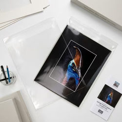 Premium Eco Clear Bags 8 7/16" x 10 1/4" 100 pack