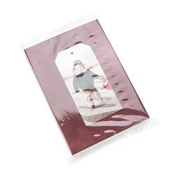 Polypropylene Flat Bag Bottom Seal 6" x 8" 100 pack