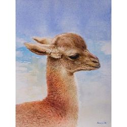 In the Andes,'Signed Original Watercolor Baby Alpaca Painting from Peru'
