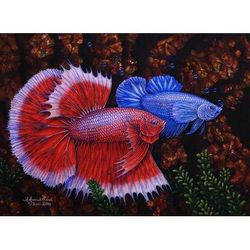A Couple of Mature Betta Fish,'Signed Painting of Red and Blue Betta Fish from Bali'