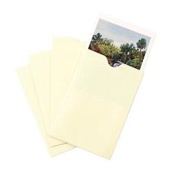 Print File NP46 4 x 6" Buffered Print Envelope (100-Pack) 291-1025