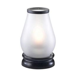 Sterno 85414 Zen Candle Lamp Globe for 85256, Frost, White