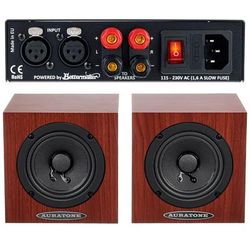 Auratone 5C Super Sound Cube Amp Set Cl