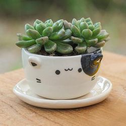 'Handcrafted Cat-Shaped Ceramic Mini Flower Pot with Saucer'