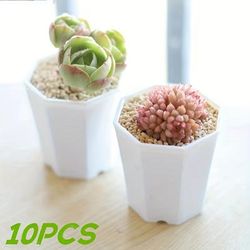 10pcs White Octagonal Planter - Perfect For Succulents, Cacti & Indoor/outdoor Plant Growth!