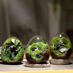 1pc, Creative Egg-shaped Glass Bottles Succulent Glass Vase Hydroponic Fleshy Micro Landscape Glass Terrarium Moss Home Decoration