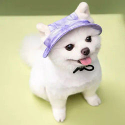 Cappelli estivi per cani con fori per le orecchie per cani di piccola taglia gatti Tie Dye