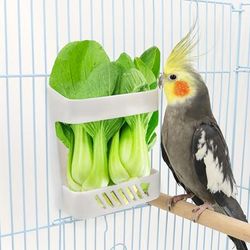 TEMU 1pc Bird Fruit Vegetable Feeder Bowl, Parrot Feeding Holder Rack With Screw Attachment, Easy-install Cage Accessory, Pet Cage Food Basket For Small Birds