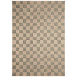 Roma Checkerboard Indoor/Outdoor Area Rug Cool by Brylane Home in Cool (Size 6'6" X 9'4")