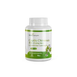 VitaSanum®- Coptis Chinensis 黄连 (Huáng lián) (filo d'oro cinese) 60 pz