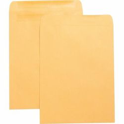 Business Source 42124 Catalog Envelopes, w/Adhesive Strip, Plain, 10" x 13", Kraft - Box of 100 BSN42124