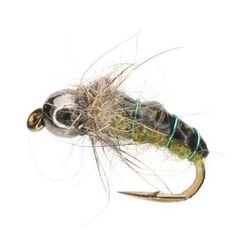RoundRocks Caddis Fly - 6 Pack - Green 14