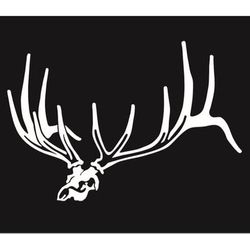 Hunters Images Low Profile Elk Skull - Large - White