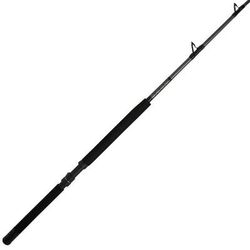 PENN Ally II Boat Saltwater Trolling/Conventional Rod
