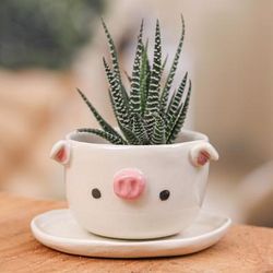 'Piglet-Shaped Ceramic Mini Flower Pot and Saucer (Small)'