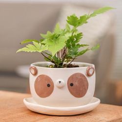 'Painted Brown Panda-Shaped Ceramic Flower Pot and Saucer Set'