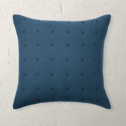 Cotton Embroidered Dream Euro Sham - Blue - Grandin Road