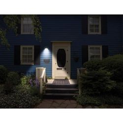 SensorBrite® Spectrum Solar-Powered LED Light by BrylaneHome in Black