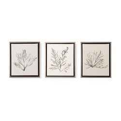 Variegated Coral Giclee Prints - Set of Three - Frontgate