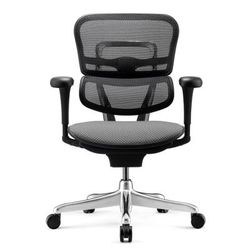 Workpro 12000 V2 Series Ergonomic Mesh/fabric High-Back Office Chair, Gray/black, Bifma Compliant