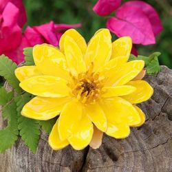 'Nature-Themed Yellow Lotus Brooch Pin Crafted in Thailand'