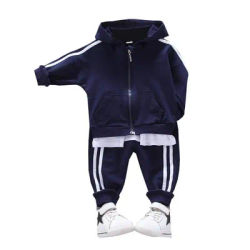 Ensemble veste et pantalon de sport à capuche pour enfants, survêtements décontractés, costume pour tout-petits, vêtements pour bébés garçons et filles, printemps, automne, nouveau, 2 pièces