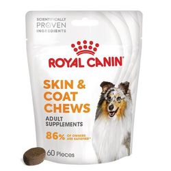 240g (60 pieces) Skin & Coat Chews Royal Canin Dog Snacks