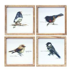 Framed Bird Print (Set of 4) 9.5"SQ MDF/Wood by Melrose in Brown/white