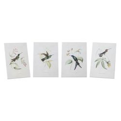 Tabletop Encyclopedia Hummingbird Print (Set of 4) by Melrose in White/green/brown