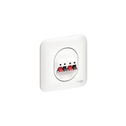 Schneider Electric - Prise haut parleur 2 sorties blanche complete avec plaque fixation vis/griffes