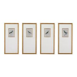 Antique Hummingbird Giclee Prints - Print III - Frontgate