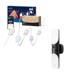 Wall Light Cam S100+Outdoor Lights E22 (100ft/30m) + 50ft/15m Extension Kit