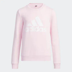 Adidas Official Authentic New Season Kids and Adults Casual Sports Hoodie HD0393