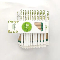 HB unsharpened Graphite Plantable Wooden Pencils| Gift for Teachers, Creative Kids ,eco friendly growing pencil for promotion