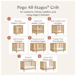 Babyletto Pogo 8-in-1 Convertible Crib w/All-Stages Conversion Kits - Honey