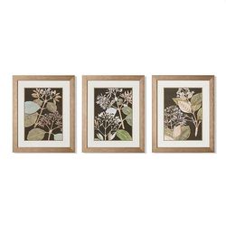 Graphic Foliage Giclee Prints - Print II - Frontgate