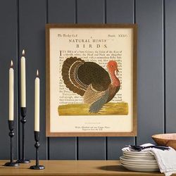 Framed Turkey Wall Art - Grandin Road