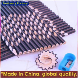 30 Pcs 2B/HB Grip Graphite EcoPencils for General Purpose Use,Student Gift ,Grip Dots and Triangular Shape BREAK RESISTANT LEADS