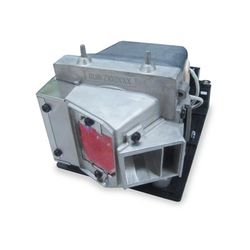 AL™ Series Lamp & Housing for the Optoma HD33 Projector - 90 Day Warranty