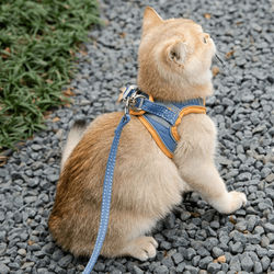 Glow in the Dark Luminous Adjustable Cat Vest Harness & Leash Set: Keep Your Furry Friend Around Blue L