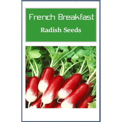 French Breakfast Radish Seeds, Non GMO Heirloom Garden Seeds For Quick Growth 400 Seeds